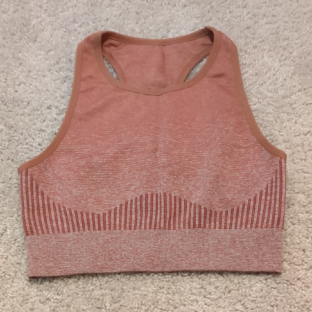 Rust Red Sports Bra